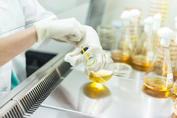 Image showing Female scientist working with bacteria in laminar flow at corona virus vaccine development laboratory research facility.