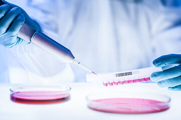 Image showing Detail of scientist working in the corona virus vaccine development laboratory research with a highest degree of protection gear.