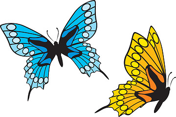 Image showing Butterflies