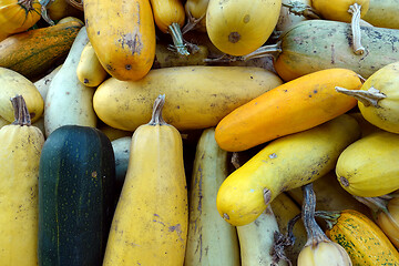 Image showing Bunch of zucchini lying on the ground