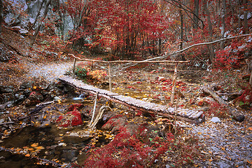 Image showing wooden bridge in Cheile Nerei