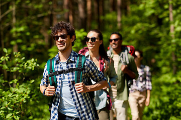 Image showing group of friends with backpacks hiking in forest