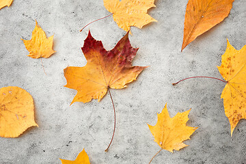 Image showing dry fallen autumn leaves on gray stone background