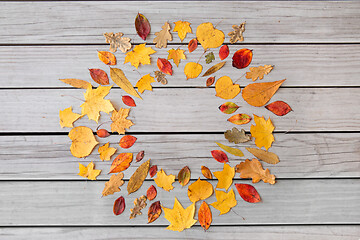 Image showing round frame of different dry fallen autumn leaves