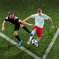 Image showing Football players tackling ball over green grass background