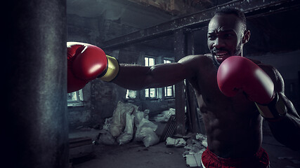 Image showing Hand of boxer over black background. Strength, attack and motion concept