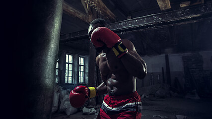 Image showing Hand of boxer over black background. Strength, attack and motion concept