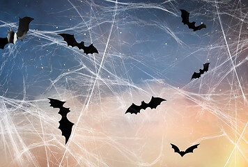 Image showing black bats over starry night sky and spiderweb