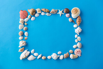 Image showing frame of different sea shells on blue background