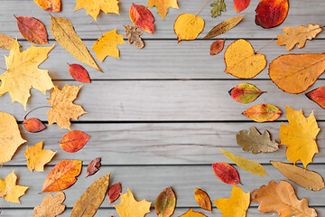 Image showing round frame of different dry fallen autumn leaves