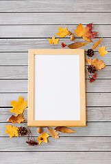 Image showing autumn fruits and picture frame or whiteboard