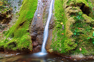 Image showing Susara waterfall flowing over mossy rock