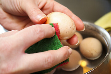 Image showing Egg bleaching procedure