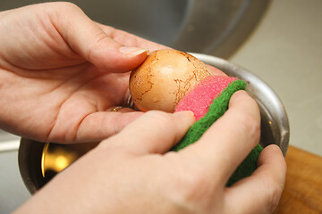 Image showing Egg bleaching procedure
