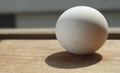 Image showing Egg on wooden board