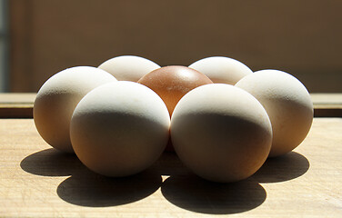 Image showing Egg flower on board