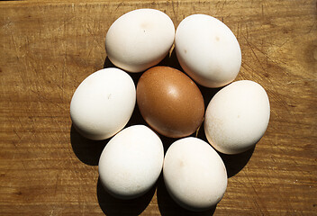 Image showing Egg flower on board