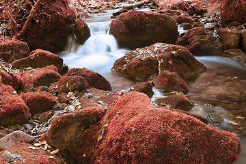 Image showing mountain stream detail in Apuseni mountains