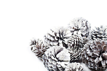 Image showing White decorative pine cones closeup on a white background.
