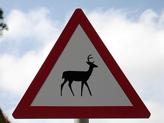 Image showing Animal crossing sign 2. Cyprus