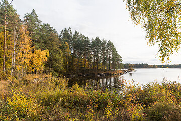 Image showing Tranquil lake view in fall colors