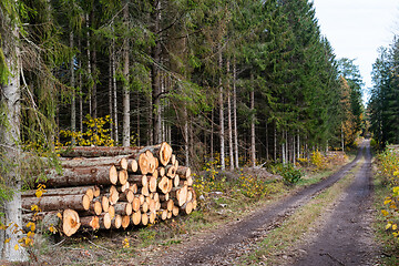 Image showing Logpile by roadside in fall season