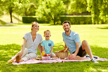 Image showing portrait of family having picnic at summer park