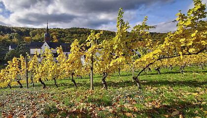 Image showing Monastery Ebersbach in autumn