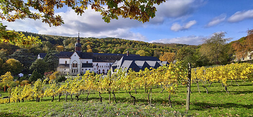 Image showing Monastery Ebersbach in autumn