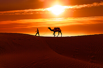 Image showing Cameleers, camel Drivers at sunset. Thar desert on sunset Jaisal