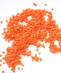 Image showing Lentils