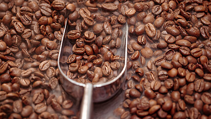 Image showing Close up of seeds of coffee. Fragrant coffee beans are roasted s