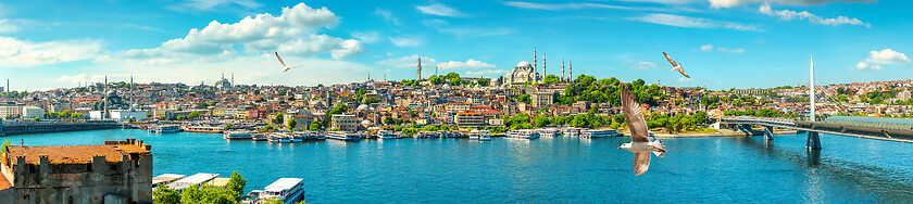 Image showing View of Suleymaniye Mosque