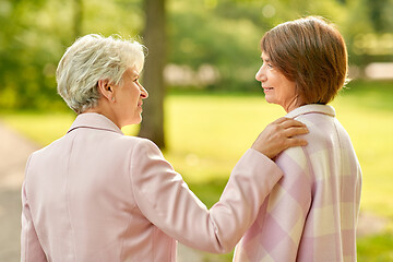 Image showing senior women or friends talking at summer park