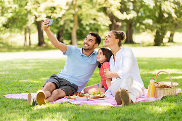 Image showing family having picnic and taking selfie at park