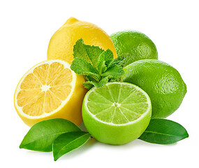 Image showing citrus fruits and mint 