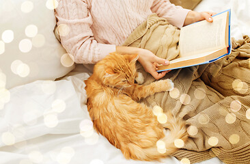 Image showing red cat and female owner reading book at home