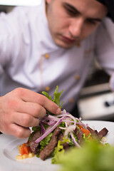 Image showing cook chef decorating garnishing prepared meal