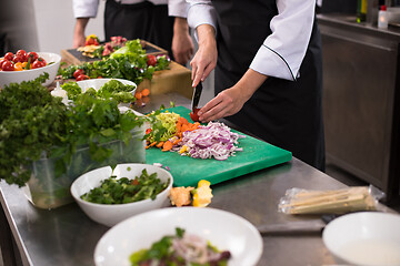 Image showing team cooks and chefs preparing meals