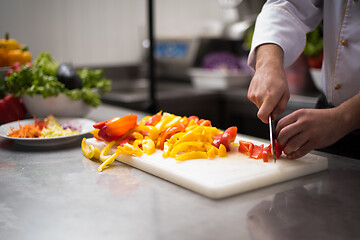 Image showing Chef cutting fresh and delicious vegetables