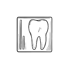 Image showing Tooth x-ray hand drawn outline doodle icon.