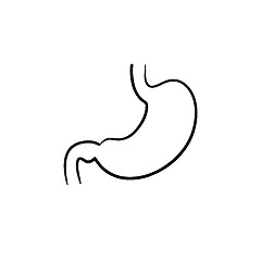 Image showing Stomach digestion hand drawn outline doodle icon.