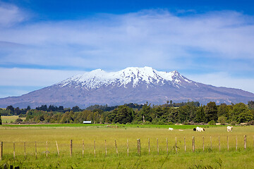 Image showing Mount Ruapehu volcano in New Zealand