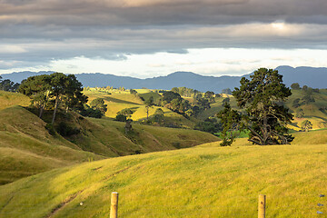 Image showing typical rural landscape in New Zealand