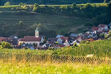 Image showing landscape scenery in Breisgau Germany