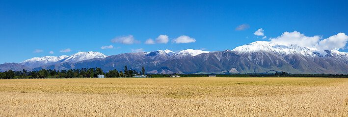 Image showing Mount Taylor and Mount Hutt scenery in south New Zealand