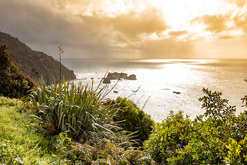 Image showing rough coast at New Zealand south