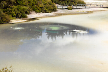 Image showing geothermal activity at Rotorua in New Zealand