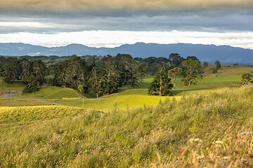 Image showing typical rural landscape in New Zealand