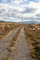 Image showing typical rural landscape in New Zealand